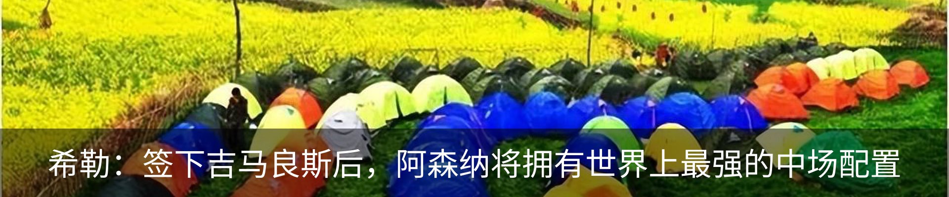 最新动态